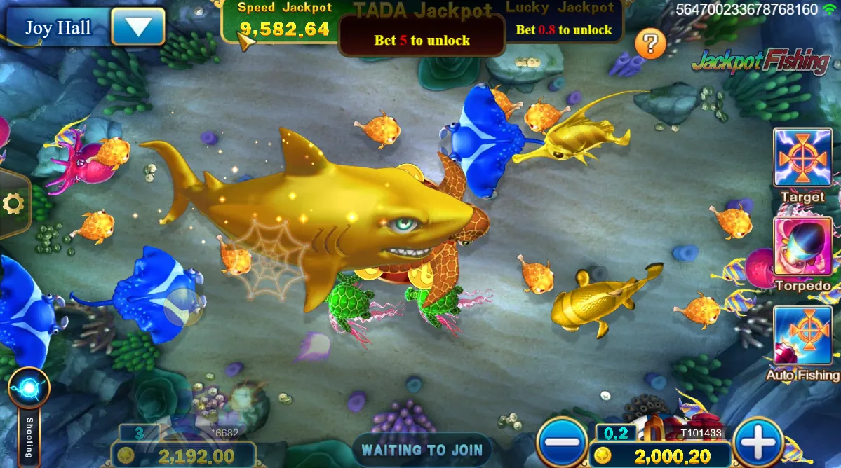 Jackpot Fishing
